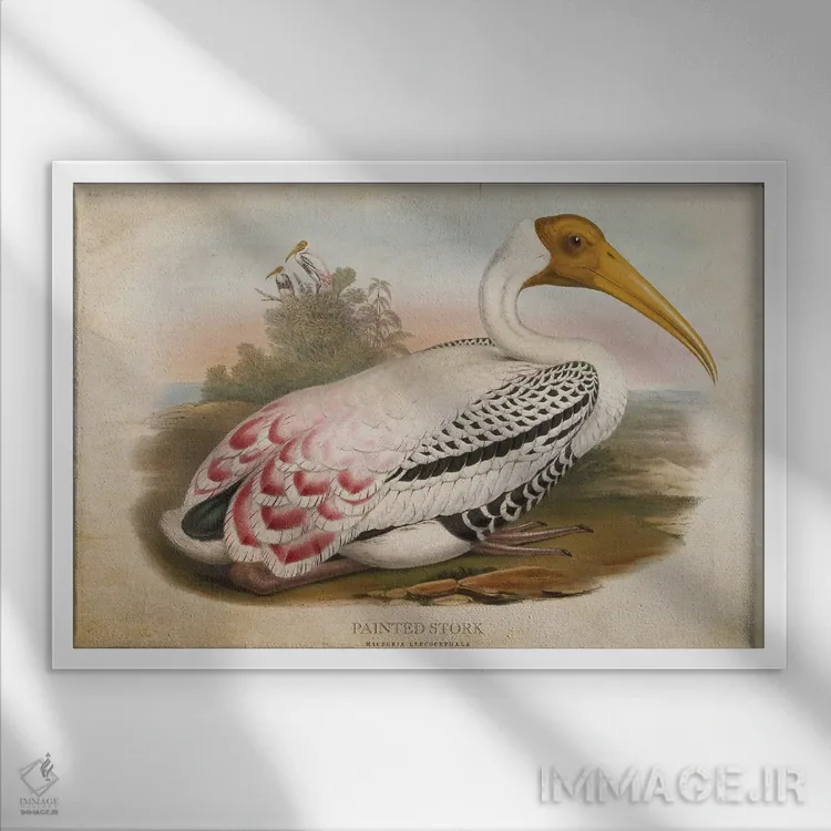 تابلو لکلک نقاشی شده (وینتیج) اثر پیکسل کهنه (استودیو/نام هنری) - نمای قابدار سفید