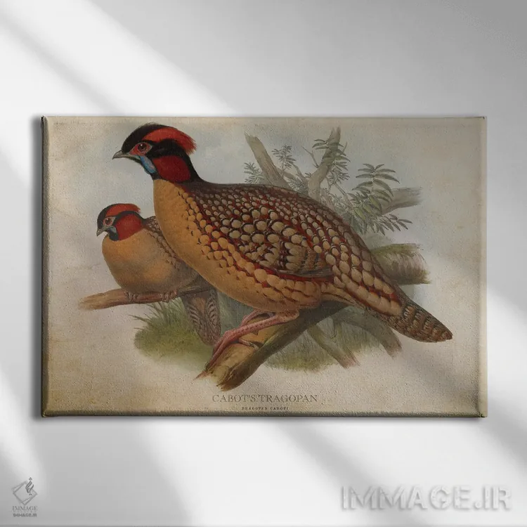 تابلو تراگوپان کابوت (وینتیج) اثر پیکسل کهنه (استودیو/نام هنری) - نمای روبهرو روی دیوار