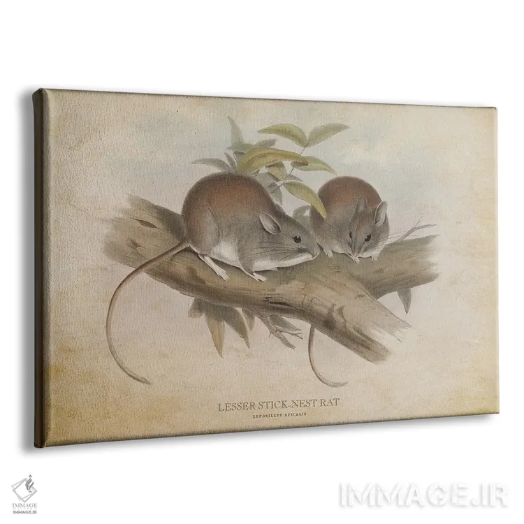 تابلو موش چوبلانه کوچک (وینتیج) اثر پیکسل کهنه (استودیو/نام هنری) - نمای پرسپکتیو محصول