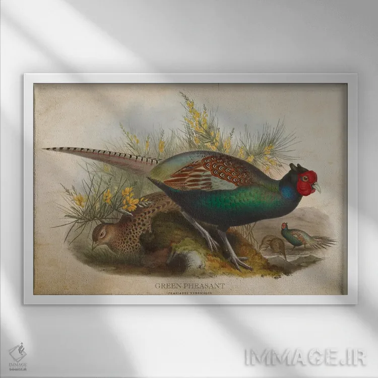 تابلو قرقاول سبز (وینتیج) اثر پیکسل کهنه (استودیو/نام هنری) - نمای قابدار سفید