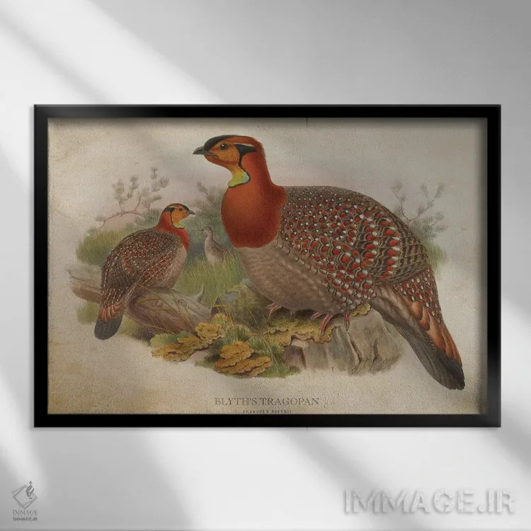 تابلو تراگوپان بلیت (وینتیج) اثر پیکسل کهنه (استودیو/نام هنری) - نمای قابدار مشکی