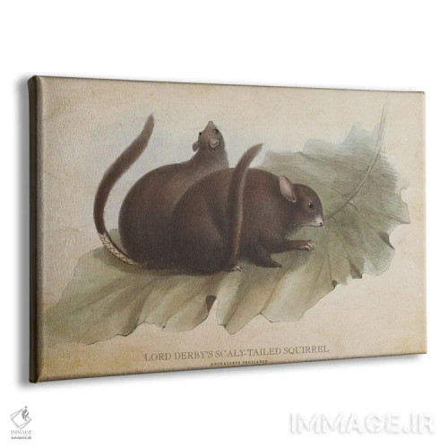 تابلو سنجاب دمپولکی لرد داربی (وینتیج) اثر پیکسل کهنه (استودیو/نام هنری) - نمای پرسپکتیو محصول