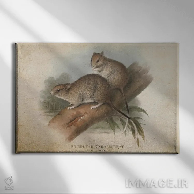 تابلو موش خرگوشی دمبرس (وینتیج) اثر پیکسل کهنه (استودیو/نام هنری) - نمای روبهرو روی دیوار