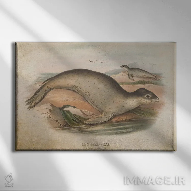 تابلو فک پلنگی (وینتیج) اثر پیکسل کهنه (استودیو/نام هنری) - نمای روبهرو روی دیوار