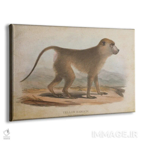تابلو بابون زرد (وینتیج) اثر پیکسل کهنه (استودیو/نام هنری) - نمای پرسپکتیو محصول