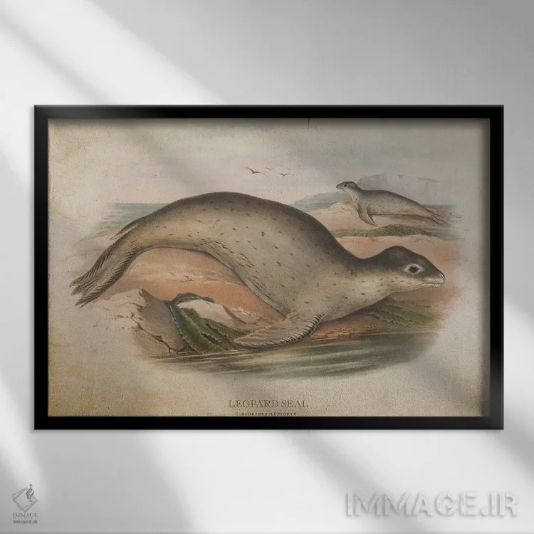 تابلو فک پلنگی (وینتیج) اثر پیکسل کهنه (استودیو/نام هنری) - نمای قابدار مشکی