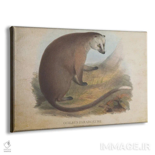 تابلو پارادوکسور اوگیلبی (وینتیج) (پستاندار شبرو آسیایی) اثر پیکسل کهنه (استودیو/نام هنری) - نمای پرسپکتیو محصول