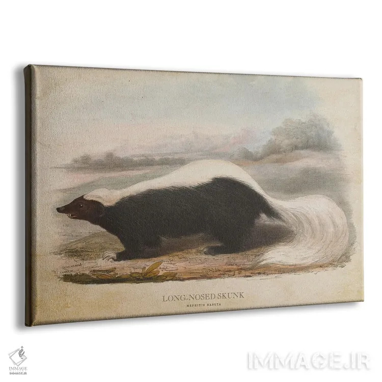 تابلو راسوی دماغدراز (وینتیج) اثر پیکسل کهنه (استودیو/نام هنری) - نمای پرسپکتیو محصول