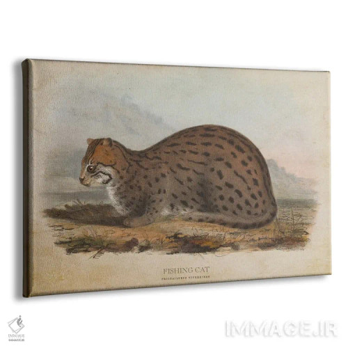 تابلو گربه ماهیگیر (وینتیج) اثر پیکسل کهنه (استودیو/نام هنری) - نمای پرسپکتیو محصول