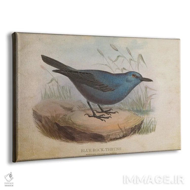 تابلو توکا سنگی آبی (وینتیج) اثر پیکسل کهنه (استودیو/نام هنری) - نمای پرسپکتیو محصول