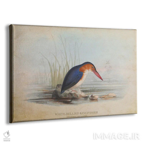 تابلو ماهیخورک شکمسفید (وینتیج) اثر پیکسل کهنه (استودیو/نام هنری) - نمای پرسپکتیو محصول