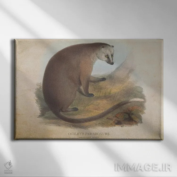 تابلو پارادوکسور اوگیلبی (وینتیج) (پستاندار شبرو آسیایی) اثر پیکسل کهنه (استودیو/نام هنری) - نمای روبهرو روی دیوار