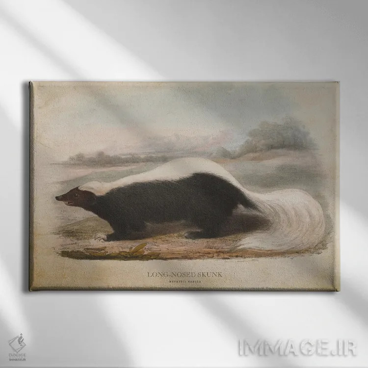 تابلو راسوی دماغدراز (وینتیج) اثر پیکسل کهنه (استودیو/نام هنری) - نمای روبهرو روی دیوار