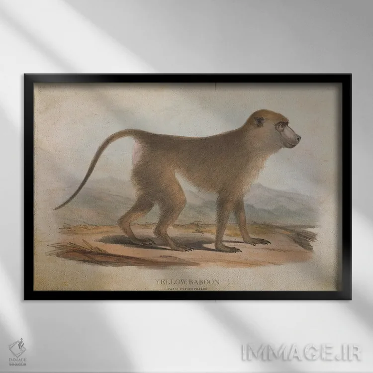 تابلو بابون زرد (وینتیج) اثر پیکسل کهنه (استودیو/نام هنری) - نمای قابدار مشکی