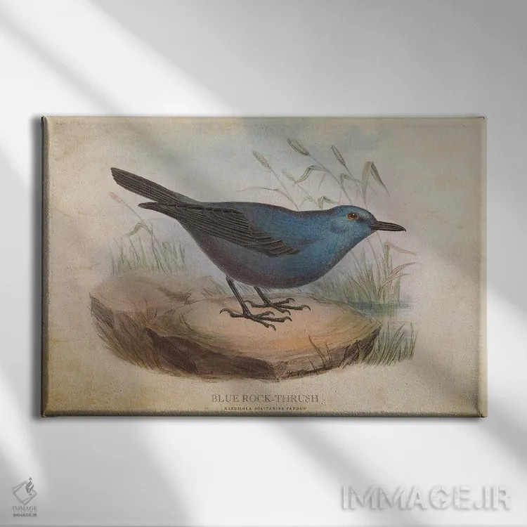 تابلو توکا سنگی آبی (وینتیج) اثر پیکسل کهنه (استودیو/نام هنری) - نمای روبهرو روی دیوار