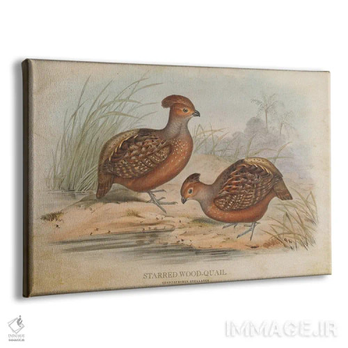 تابلو بلدرچین چوبی ستارهدار (وینتیج) اثر پیکسل کهنه (استودیو/نام هنری) - نمای پرسپکتیو محصول