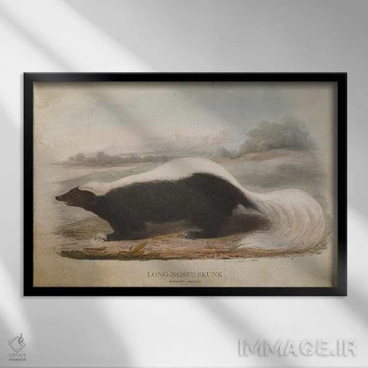 تابلو راسوی دماغدراز (وینتیج) اثر پیکسل کهنه (استودیو/نام هنری) - نمای قابدار مشکی