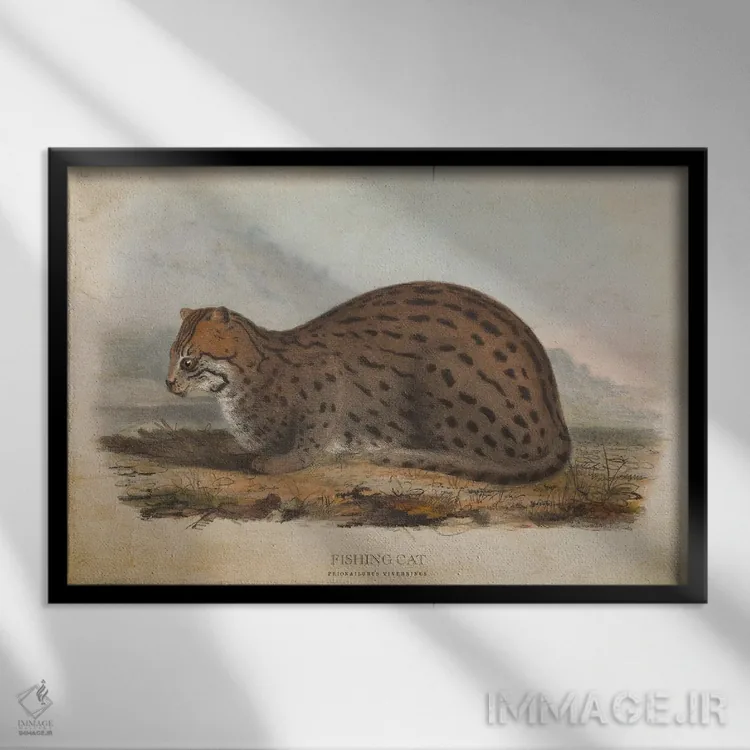 تابلو گربه ماهیگیر (وینتیج) اثر پیکسل کهنه (استودیو/نام هنری) - نمای قابدار مشکی