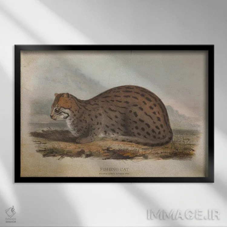 تابلو گربه ماهیگیر (وینتیج) اثر پیکسل کهنه (استودیو/نام هنری) - نمای قابدار مشکی