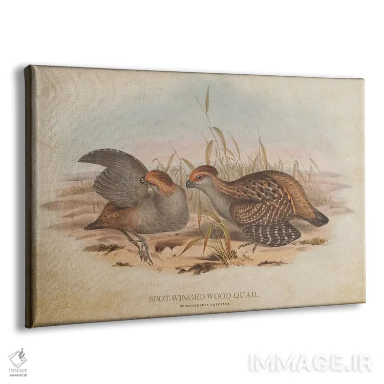 تابلو بلدرچین چوبی بالخالدار (وینتیج) اثر پیکسل کهنه (استودیو/نام هنری) - نمای پرسپکتیو محصول