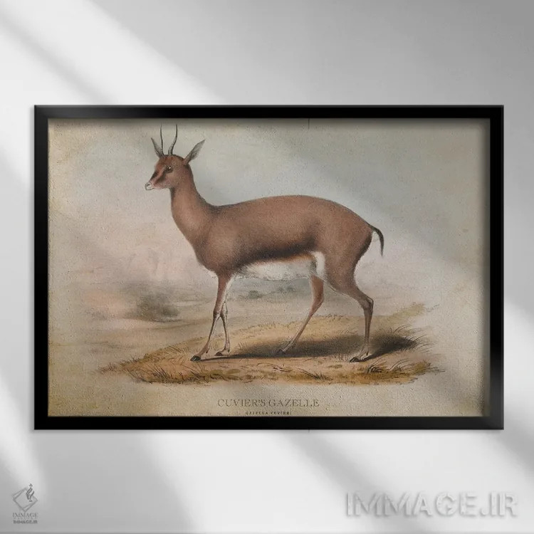 تابلو غزال کوویه (وینتیج) اثر پیکسل کهنه (استودیو/نام هنری) - نمای قابدار مشکی