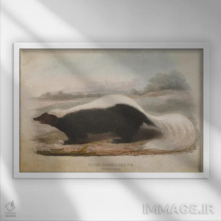 تابلو راسوی دماغدراز (وینتیج) اثر پیکسل کهنه (استودیو/نام هنری) - نمای قابدار سفید