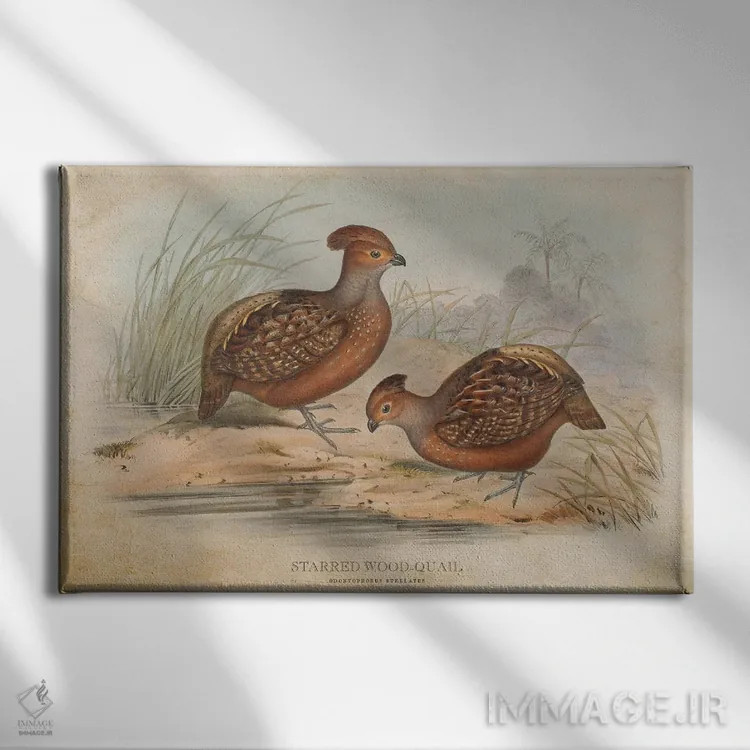 تابلو بلدرچین چوبی ستارهدار (وینتیج) اثر پیکسل کهنه (استودیو/نام هنری) - نمای روبهرو روی دیوار