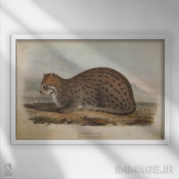 تابلو گربه ماهیگیر (وینتیج) اثر پیکسل کهنه (استودیو/نام هنری) - نمای قابدار سفید