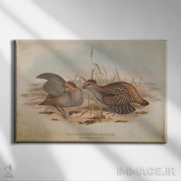 تابلو بلدرچین چوبی بالخالدار (وینتیج) اثر پیکسل کهنه (استودیو/نام هنری) - نمای روبهرو روی دیوار