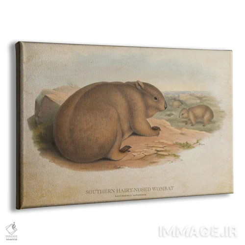 تابلو ومبت دمپشمالو جنوبی (وینتیج) اثر پیکسل کهنه (استودیو/نام هنری) - نمای پرسپکتیو محصول