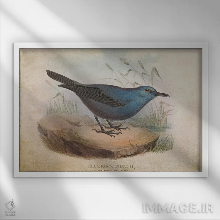 تابلو توکا سنگی آبی (وینتیج) اثر پیکسل کهنه (استودیو/نام هنری) - نمای قابدار سفید