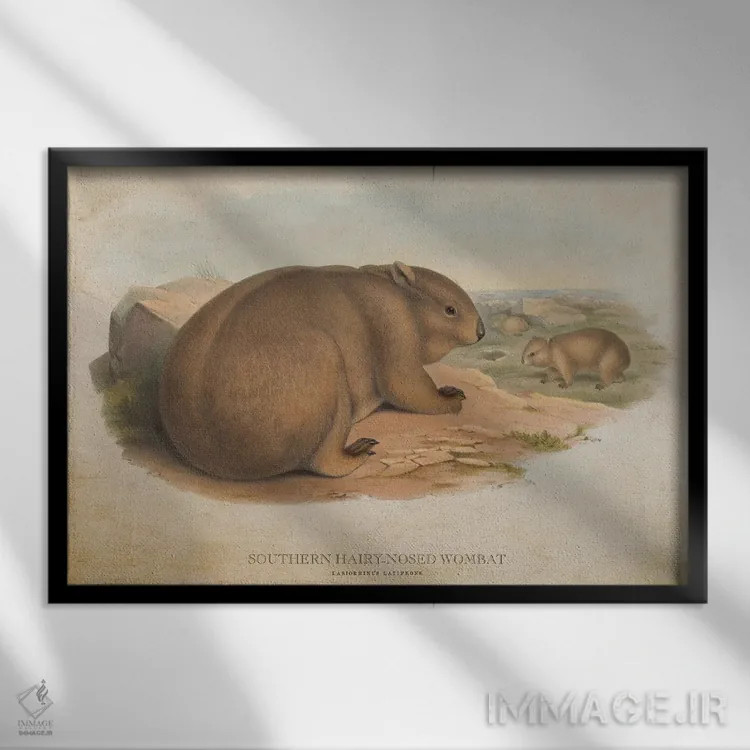 تابلو ومبت دمپشمالو جنوبی (وینتیج) اثر پیکسل کهنه (استودیو/نام هنری) - نمای قابدار مشکی