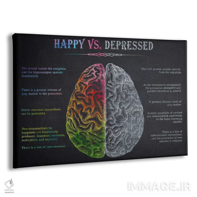 تابلو چاپ آناتومی مغز شاد در برابر مغز افسرده اثر پیکسل کهنه (استودیو/نام هنری) - نمای پرسپکتیو محصول