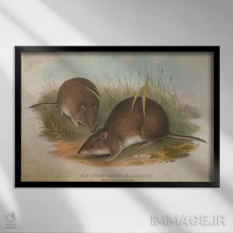 تابلو باندیکوت قهوهای جنوبی (وینتیج) اثر پیکسل کهنه (استودیو/نام هنری) - نمای قابدار مشکی