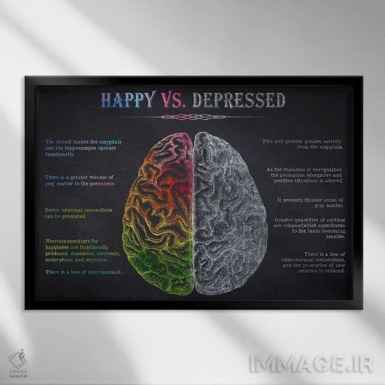 تابلو چاپ آناتومی مغز شاد در برابر مغز افسرده اثر پیکسل کهنه (استودیو/نام هنری) - نمای قابدار مشکی