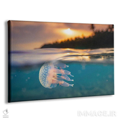 تابلو عروس دریایی گرمسیری هوش مصنوعی در حال غواصی در غروب اثر آلساندرو دلا توره - نمای پرسپکتیو محصول