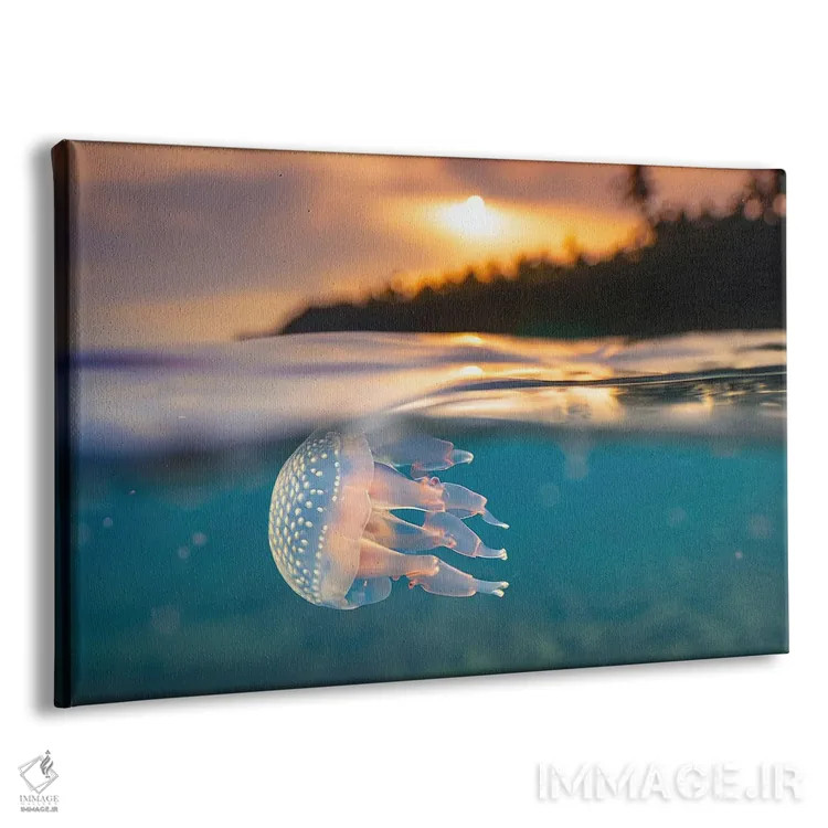 تابلو عروس دریایی گرمسیری هوش مصنوعی در حال غواصی در غروب اثر آلساندرو دلا توره - نمای پرسپکتیو محصول