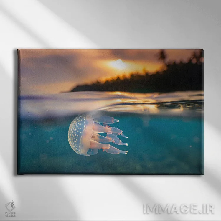 تابلو عروس دریایی گرمسیری هوش مصنوعی در حال غواصی در غروب اثر آلساندرو دلا توره - نمای روبهرو روی دیوار