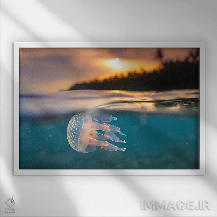 تابلو عروس دریایی گرمسیری هوش مصنوعی در حال غواصی در غروب اثر آلساندرو دلا توره - نمای قابدار سفید
