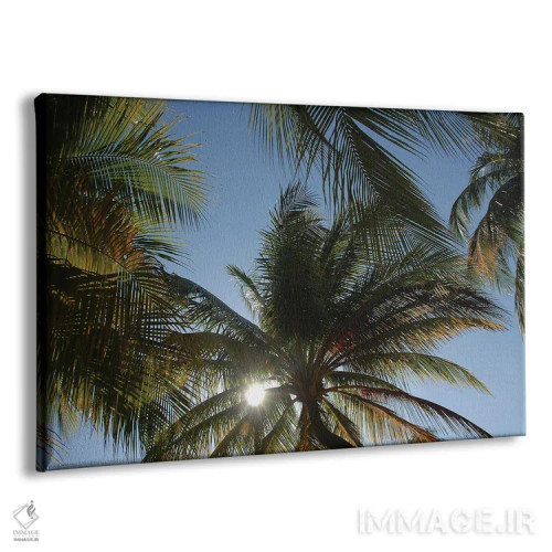 تابلو خورشید و نخلها در کوبا اثر آلساندرو دلا توره - نمای پرسپکتیو محصول