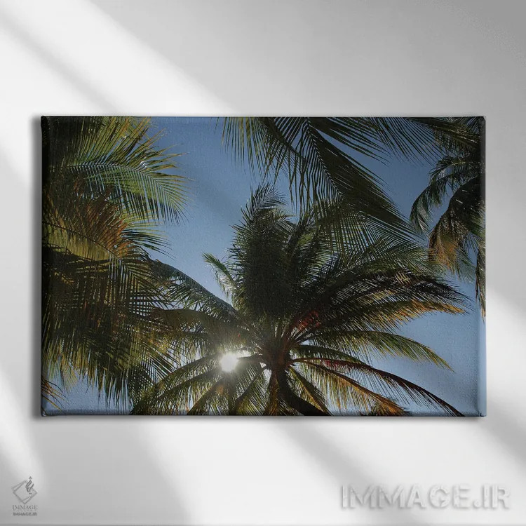 تابلو خورشید و نخلها در کوبا اثر آلساندرو دلا توره - نمای روبهرو روی دیوار