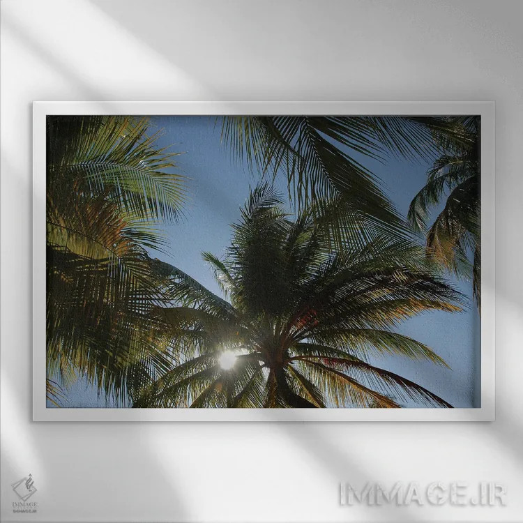 تابلو خورشید و نخلها در کوبا اثر آلساندرو دلا توره - نمای قابدار سفید