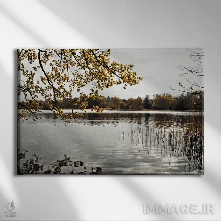تابلو یک روز در کنار دریاچه اثر آصاف فرانک - نمای روبهرو روی دیوار
