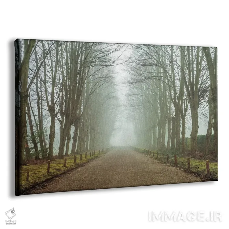 تابلو شگفتی سرزمین رویا اثر آصاف فرانک - نمای پرسپکتیو محصول