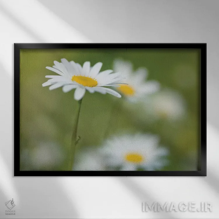 تابلو گلهای مروارید اثر آصاف فرانک - نمای قابدار مشکی