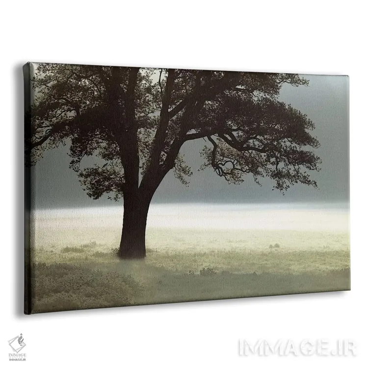 تابلو مرا روشن کن اثر آصاف فرانک - نمای پرسپکتیو محصول