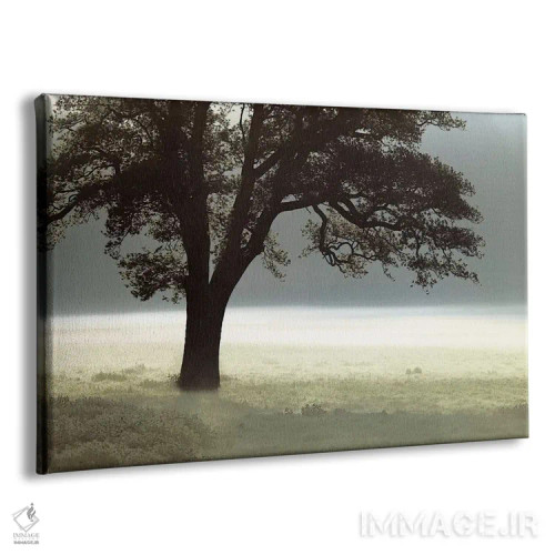 تابلو مرا روشن کن اثر آصاف فرانک - نمای پرسپکتیو محصول