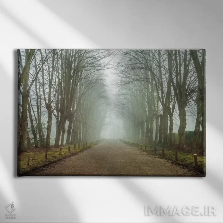 تابلو شگفتی سرزمین رویا اثر آصاف فرانک - نمای روبهرو روی دیوار