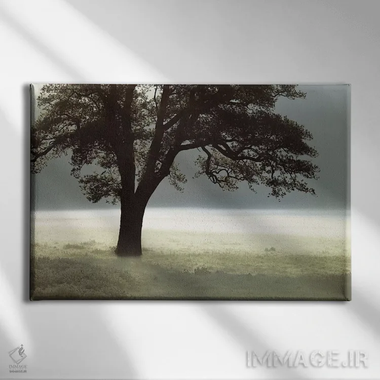 تابلو مرا روشن کن اثر آصاف فرانک - نمای روبهرو روی دیوار