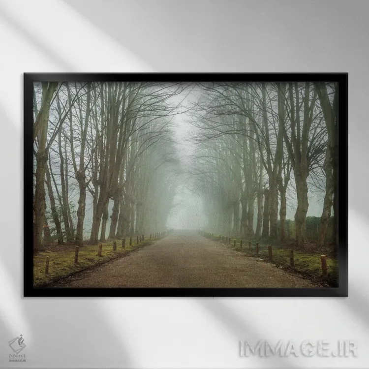 تابلو شگفتی سرزمین رویا اثر آصاف فرانک - نمای قابدار مشکی